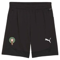 Marokko teamFINAL Training Shorts