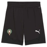 Marokko teamFINAL Training Shorts