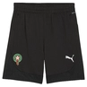 Marokko teamFINAL Training Shorts