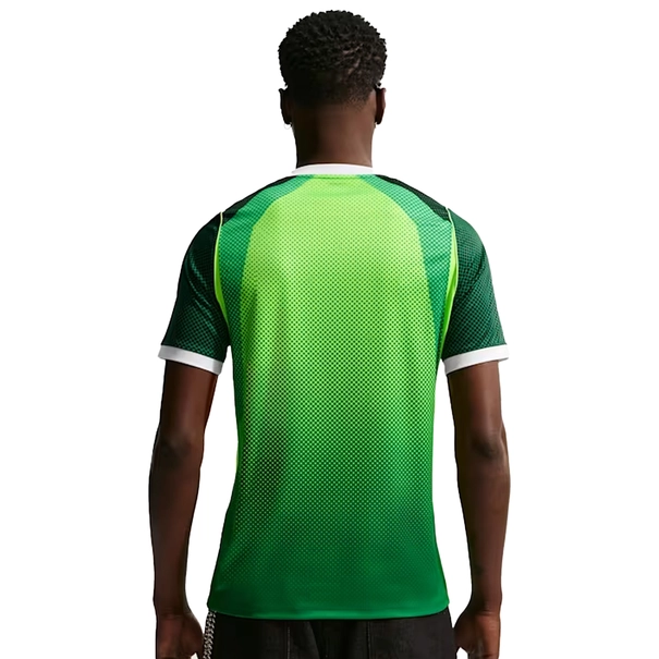 Nigeria Dri-FIT Stadium Home Jersey