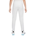 Nike Academy Dri-FIT trainingsbroek
