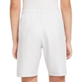 Nike Academy23 short