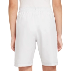 Nike Academy23 short