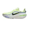 Nike Air Winflo 12
