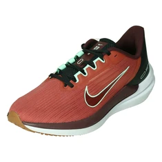 Nike Air Winflo 9 Road Run