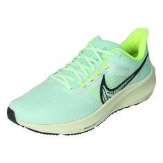 Nike Air Zoom Pegasus 39