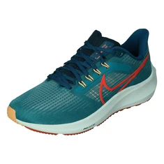 Nike Air Zoom Pegasus 39