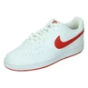 Nike Court Vision Low Next Nat