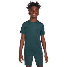 Nike Dri-Fit Academy Shirt