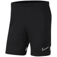 Nike Dri-FIT Academy Short