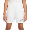 Nike Dri-FIT Academy Short