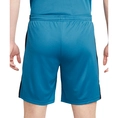 Nike Dri-FIT Academy Short