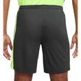 Nike Dri-FIT Academy Short