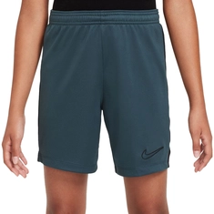 Nike Dri-Fit Academy Short
