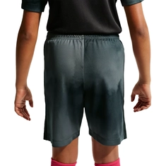 Nike Dri-FIT Academy+ Short