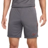 Nike Dri-FIT Academy Short