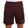 Nike Dri-FIT Academy Short