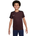 Nike Dri-FIT Academy23 Shirt