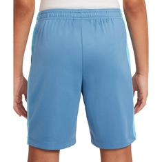Nike Dri-FIT Academy23 Short