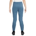 Nike Dri-FIT Academy23