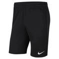 Nike Dri-FIT Park 20 Short