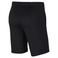 Nike Dri-FIT Park 20 Short