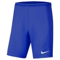 Nike Dri-FIT Park 3 Short