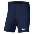 Nike Dri-FIT Park 3 Short