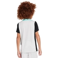 Nike Dri-FIT Strike shirt