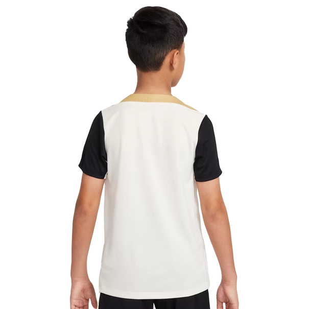 Nike Dri-FIT Strike shirt
