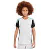 Nike Dri-FIT Strike shirt