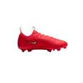 Nike JR VAPOR 17 ACADEMY FG/MG