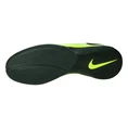 Nike Lunargato II IC