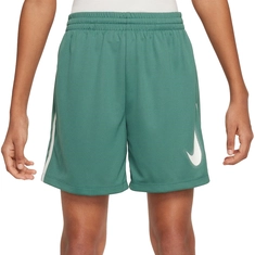 Nike Multi Short