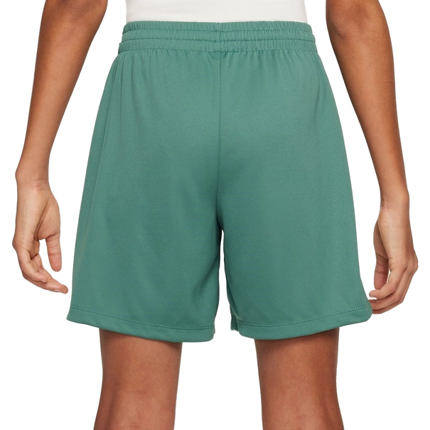 Nike Multi Short