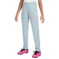 Nike Nike Academy Big Kids Dri-FIT
