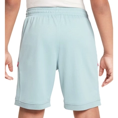 Nike Nike Academy25 Big Kids Dri-F