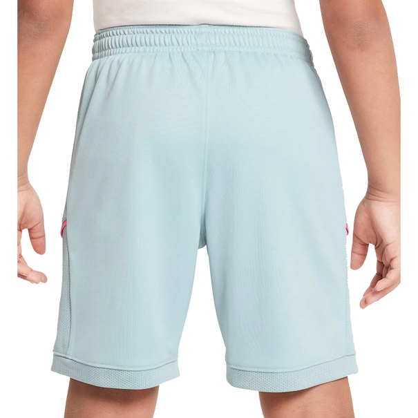 Nike Nike Academy25 Big Kids Dri-F