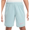 Nike Nike Academy25 Big Kids Dri-F