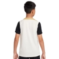 Nike Nike Dri-FIT Strike Big Kids