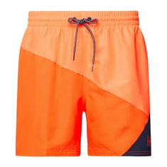 Nike Nike Logo Jackknife 5 Volley Short