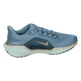 Nike Nike Pegasus 41 Womens Road R