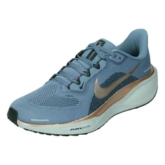 Nike Nike Pegasus 41 Womens Road R