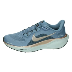 Nike Nike Pegasus 41 Womens Road R