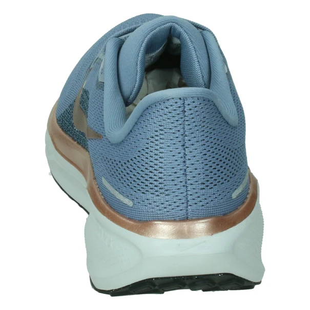 Nike Nike Pegasus 41 Womens Road R