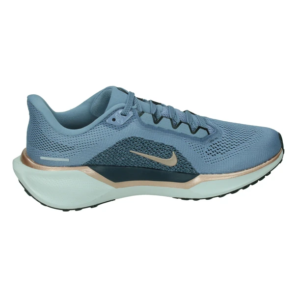Nike Nike Pegasus 41 Womens Road R