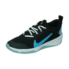 Nike Omni Multi-Court Big Kids