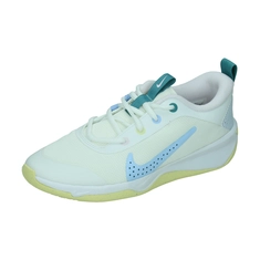 Nike Omni Multi-Court Big Kids