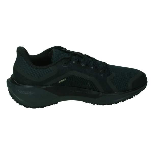 Nike Pegasus 41 GORE-TEX Women