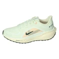 Nike Pegasus 41 GORE-TEX